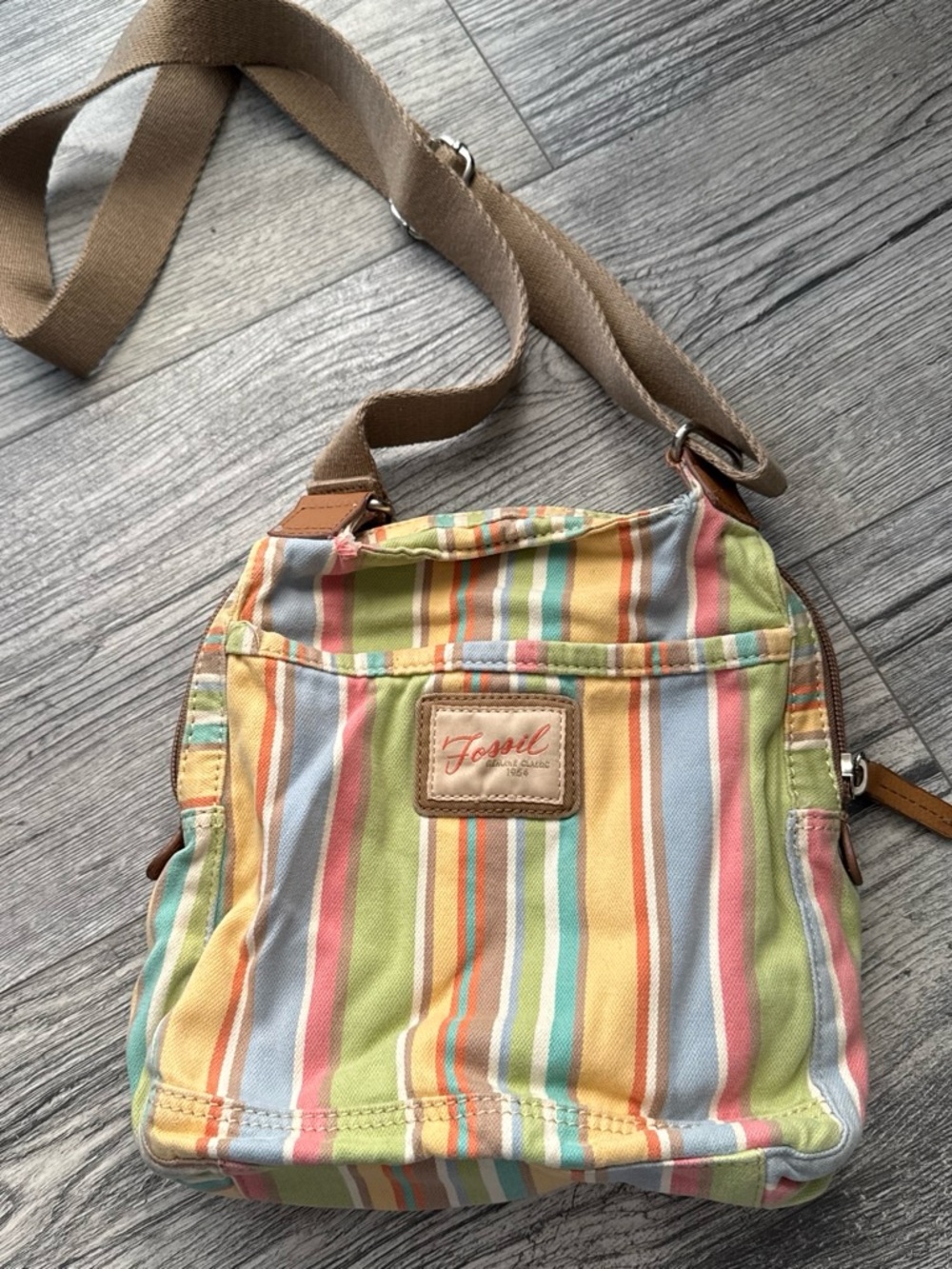 Fossil Striped Crossbody Bag in Pastel Multicolor